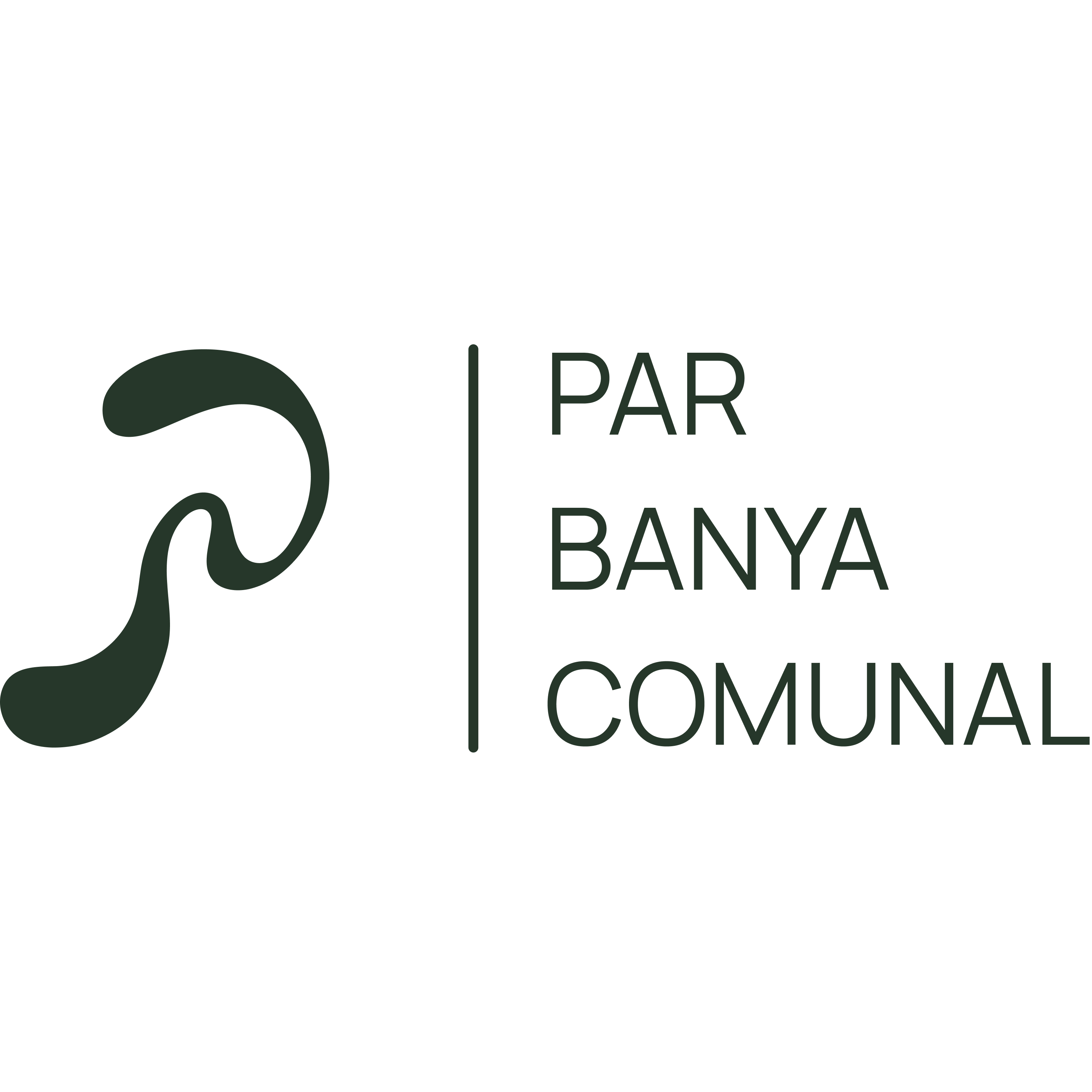 PAR Banya Comunal